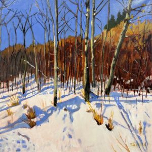 January Light I