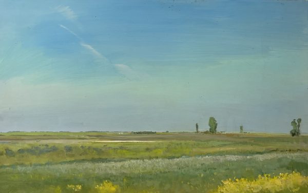 *Competition (near Dundurn, SK)