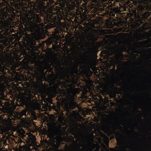 *After the Fall