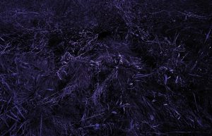 *Night Breeze (Blue & Magenta)